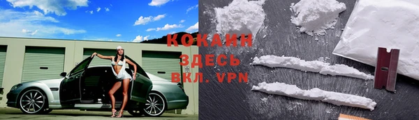 дурь Ельня