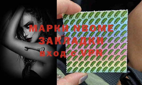 дурь Ельня