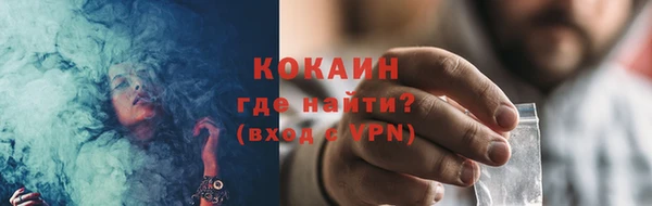 дурь Ельня