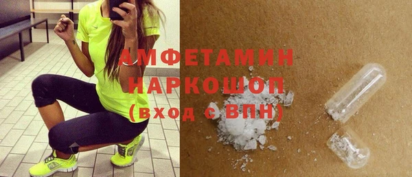 дурь Ельня