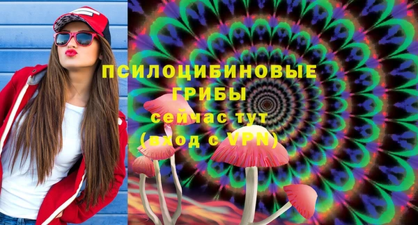 марки lsd Елабуга