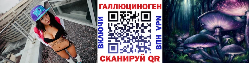 omg вход  закладки  Эртиль  Галлюциногенные грибы MAGIC MUSHROOMS 